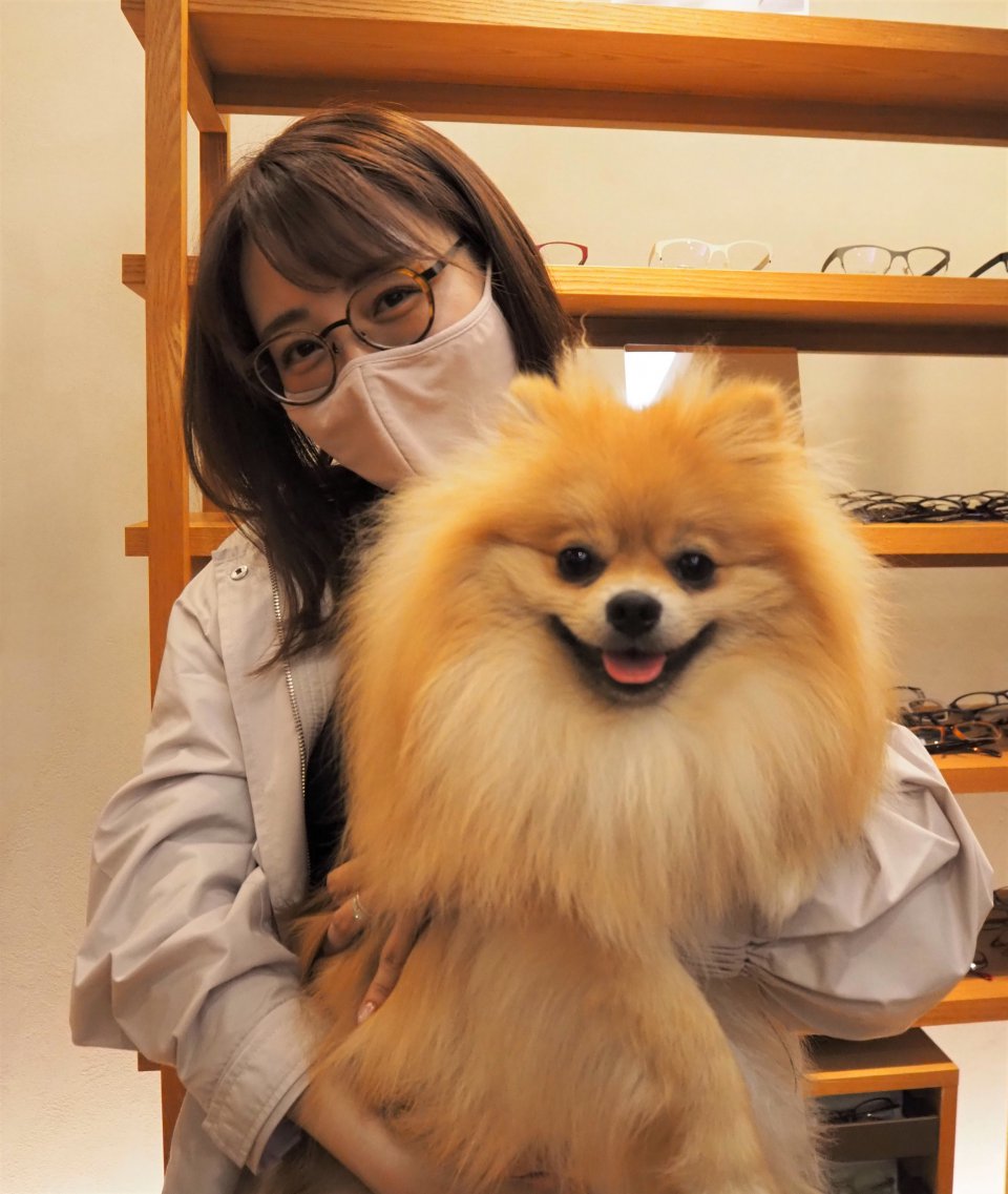 の画像